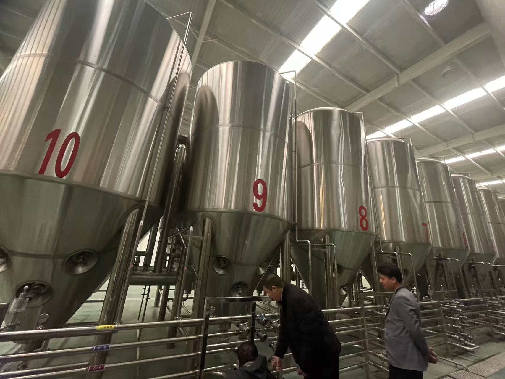 洋浦经济开发区精酿啤酒设备厂—平面布置、设备设计、制造、调试、培训等一条龙服务